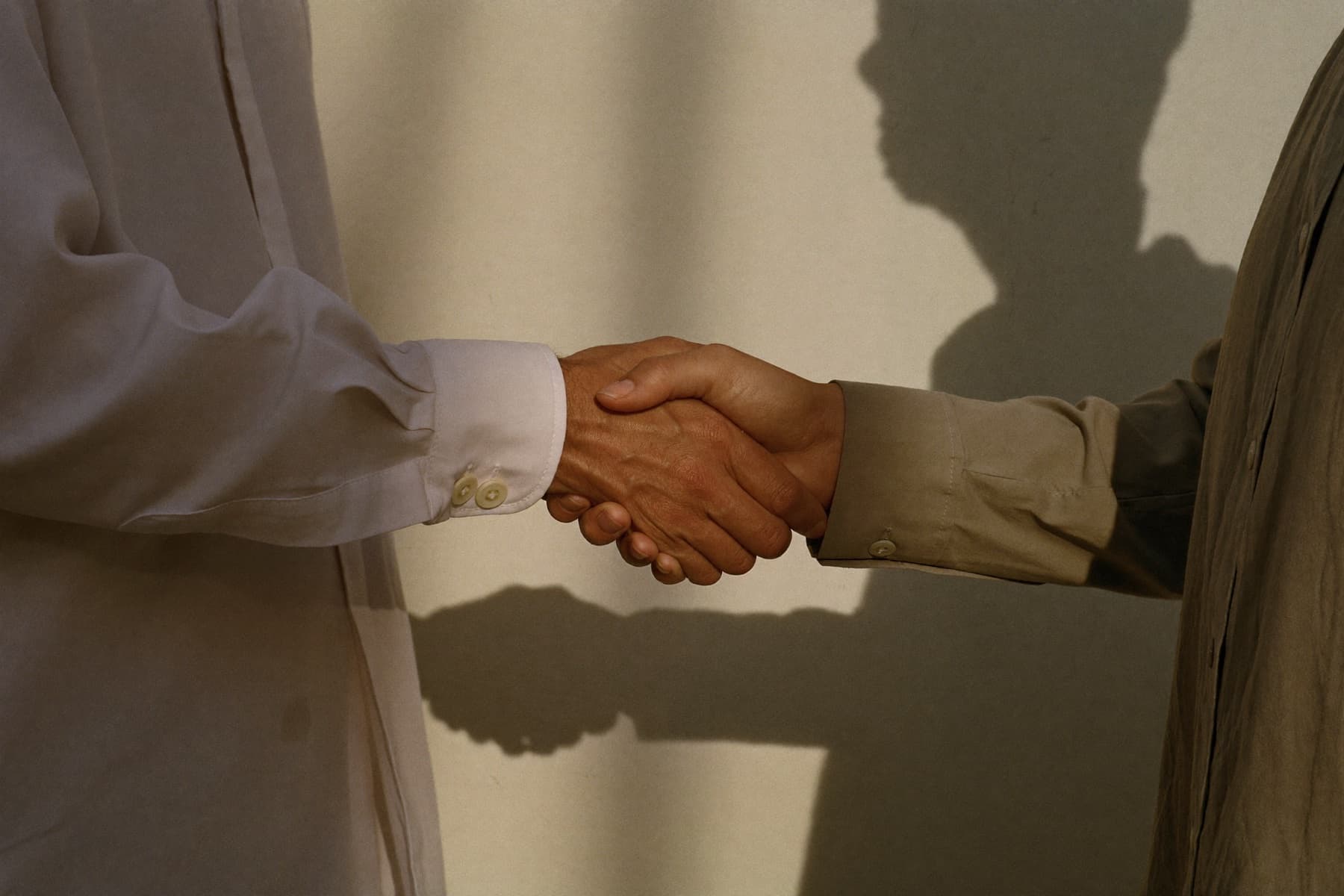 A handshake between two professionals in warm sunlight